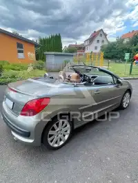 2009 Peugeot 207