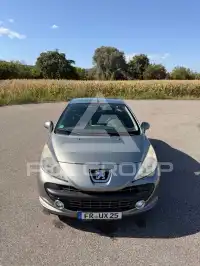 2009 Peugeot 207