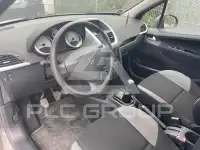 2009 Peugeot 207