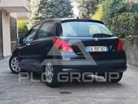 2009 Peugeot 207