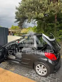 2009 Peugeot 207
