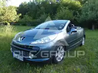 2009 Peugeot 207