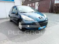 2009 Peugeot 207