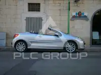 2009 Peugeot 207