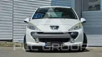 2009 Peugeot 207