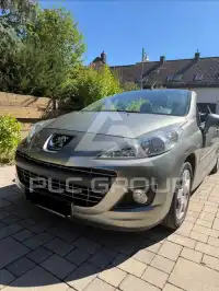 2009 Peugeot 207