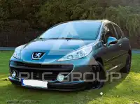 2009 Peugeot 207