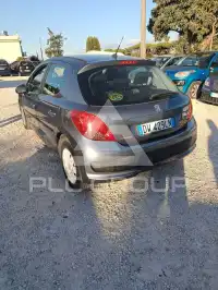2009 Peugeot 207