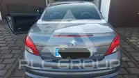 2010 Peugeot 207
