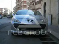 2009 Peugeot 207