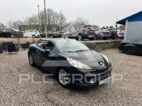2009 Peugeot 207