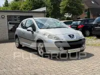 2009 Peugeot 207