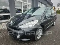 2009 Peugeot 207