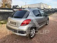 2009 Peugeot 207