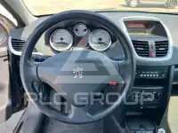 2009 Peugeot 207