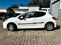 2009 Peugeot 207