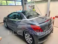 2009 Peugeot 207