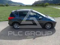2009 Peugeot 207