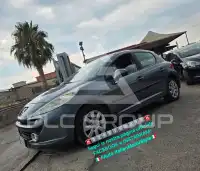 2009 Peugeot 207