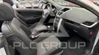 2009 Peugeot 207