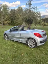 2009 Peugeot 207