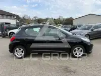 2009 Peugeot 207