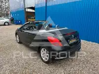 2009 Peugeot 207
