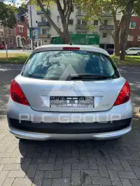2009 Peugeot 207