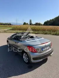 2009 Peugeot 207