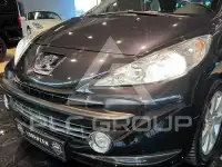 2009 Peugeot 207
