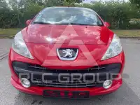 2009 Peugeot 207