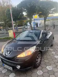 2009 Peugeot 207