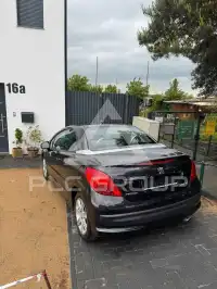 2009 Peugeot 207