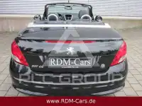 2009 Peugeot 207