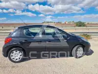 2009 Peugeot 207