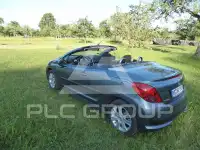 2009 Peugeot 207