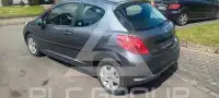 2009 Peugeot 207