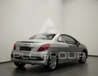 2009 Peugeot 207