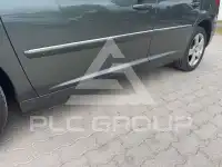 2009 Peugeot 207