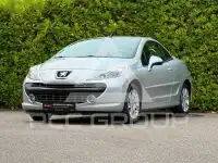2009 Peugeot 207