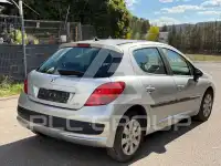 2009 Peugeot 207
