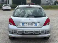 2009 Peugeot 207
