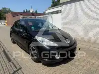 2009 Peugeot 207