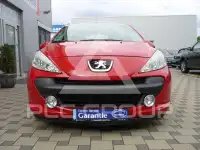 2009 Peugeot 207