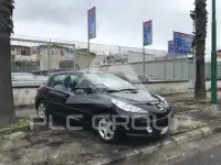 2009 Peugeot 207