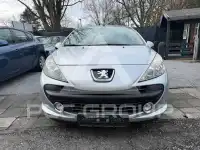 2009 Peugeot 207