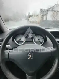 2009 Peugeot 207