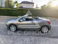 2009 Peugeot 207