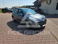 2009 Peugeot 207