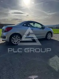 2009 Peugeot 207
